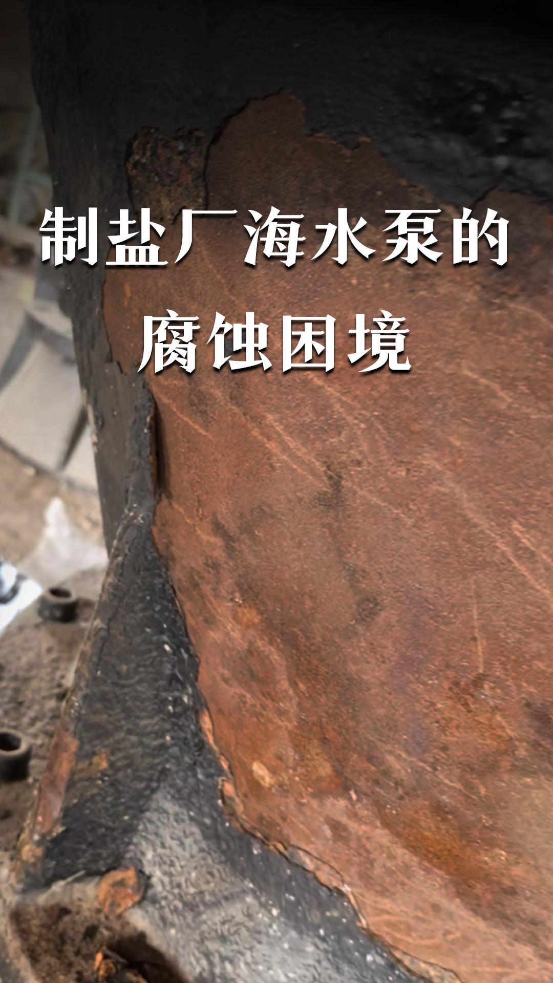 制盐厂海水泵的腐蚀困境