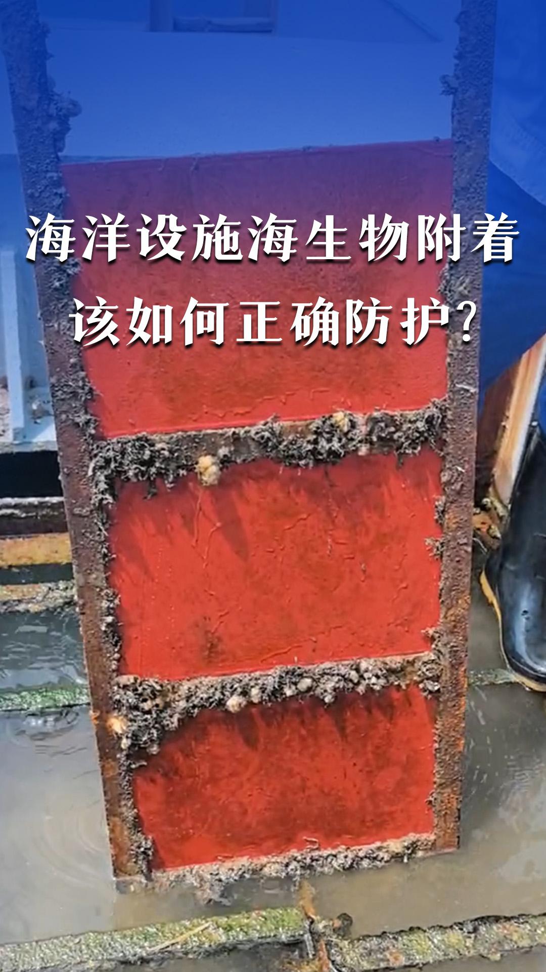 海洋设施海生物附着该如何正确防护？