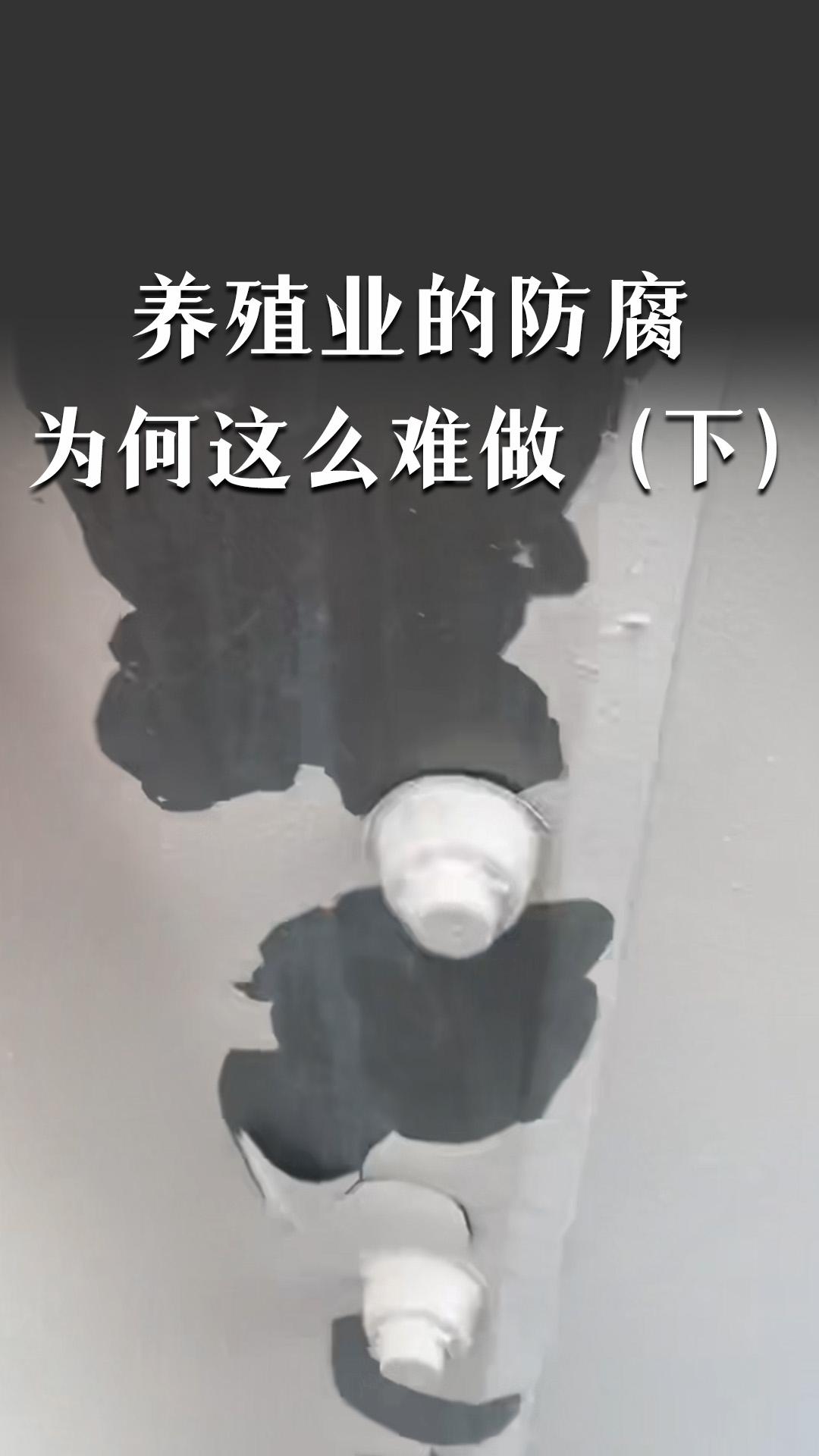 养殖业的防腐为何这么难做（下）