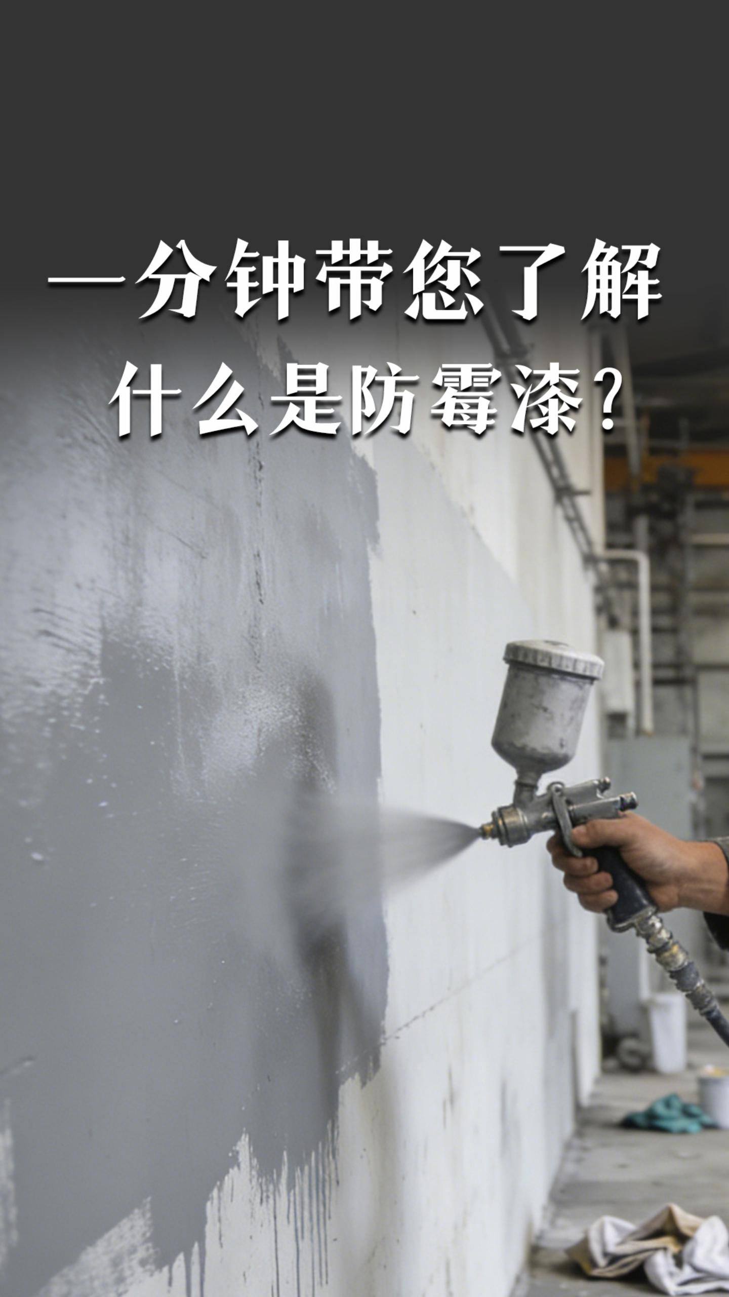 一分钟带您了解，什么是防霉漆？